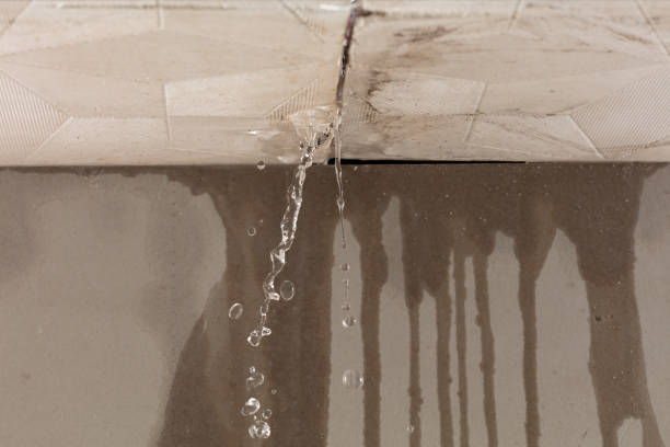 Professional Water Damage Inspection technician working in O'Neals, CA